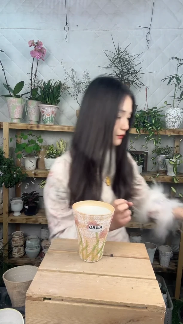 无花朵编号 488 景德镇手绘花盆口约11 高约14