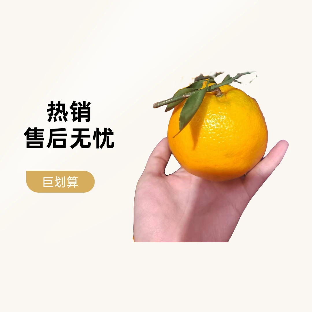 耙耙柑约900g-1000g/份