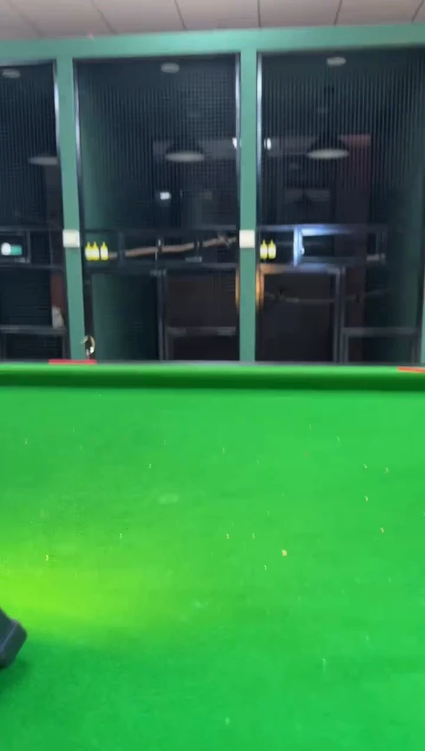 19号 白腹号养笼0元起拍