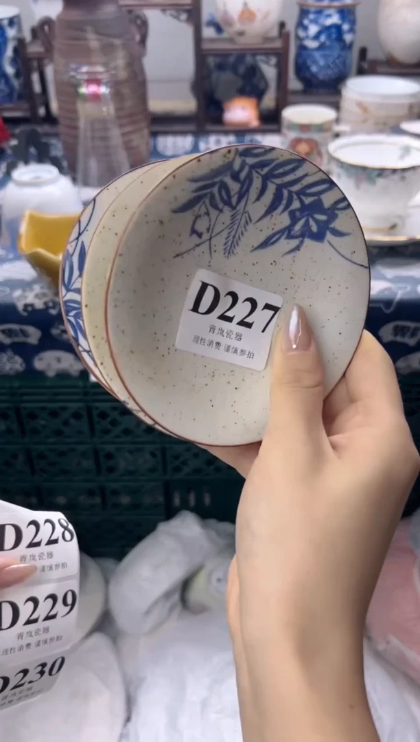 瓷片十****）   D227
