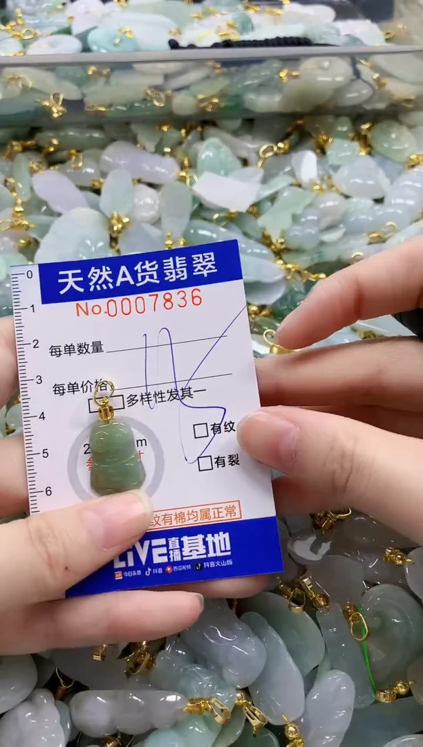 颈饰未镶嵌翡翠纯天然a货翡翠