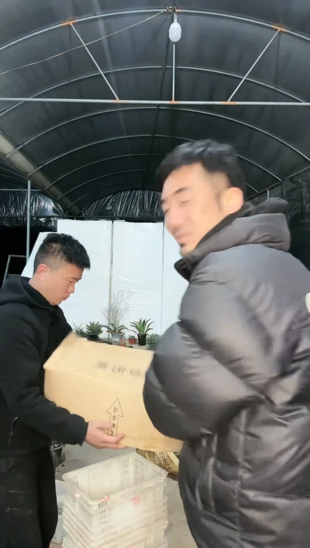 【闪购商品】箱拍 22号