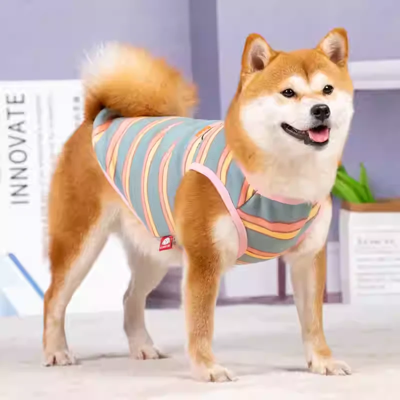 狗狗衣服秋冬保暖背心2024新款秋季宠物柴犬小泰迪雪纳瑞比熊秋装