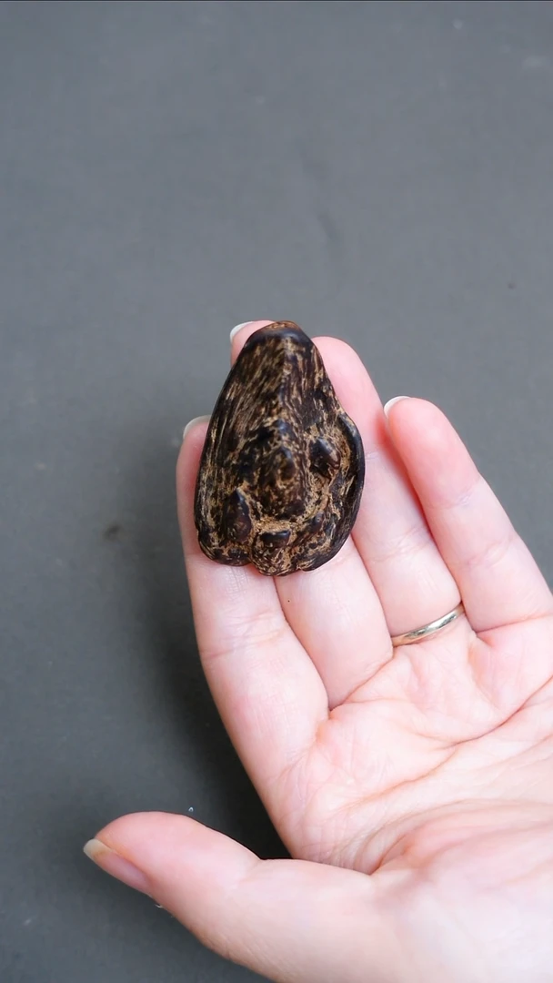 沉香碎屑沉香沉水越南惠安老料5.79g