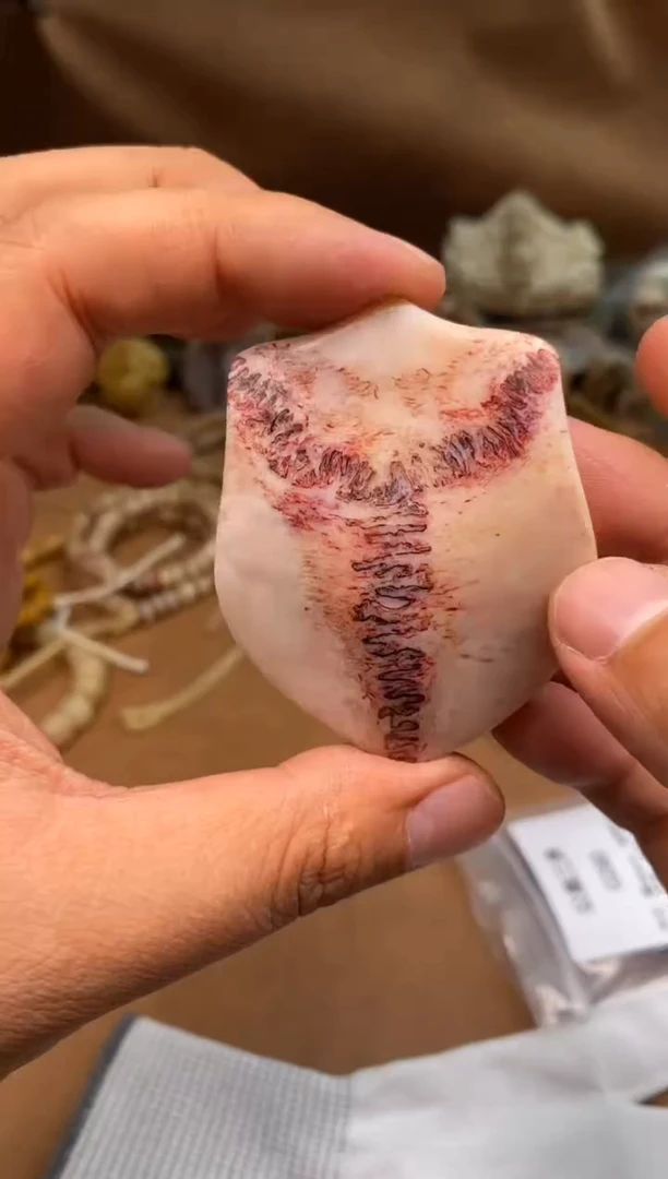 其他鹿骨公鹿三界G280