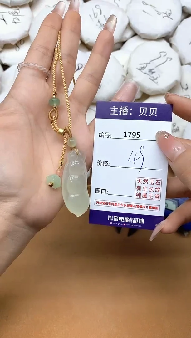 未镶嵌岫玉吊坠(赠链)1795四季豆