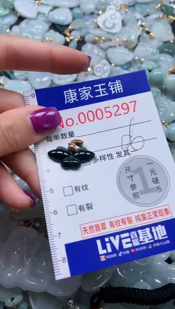 颈饰未镶嵌翡翠5297
