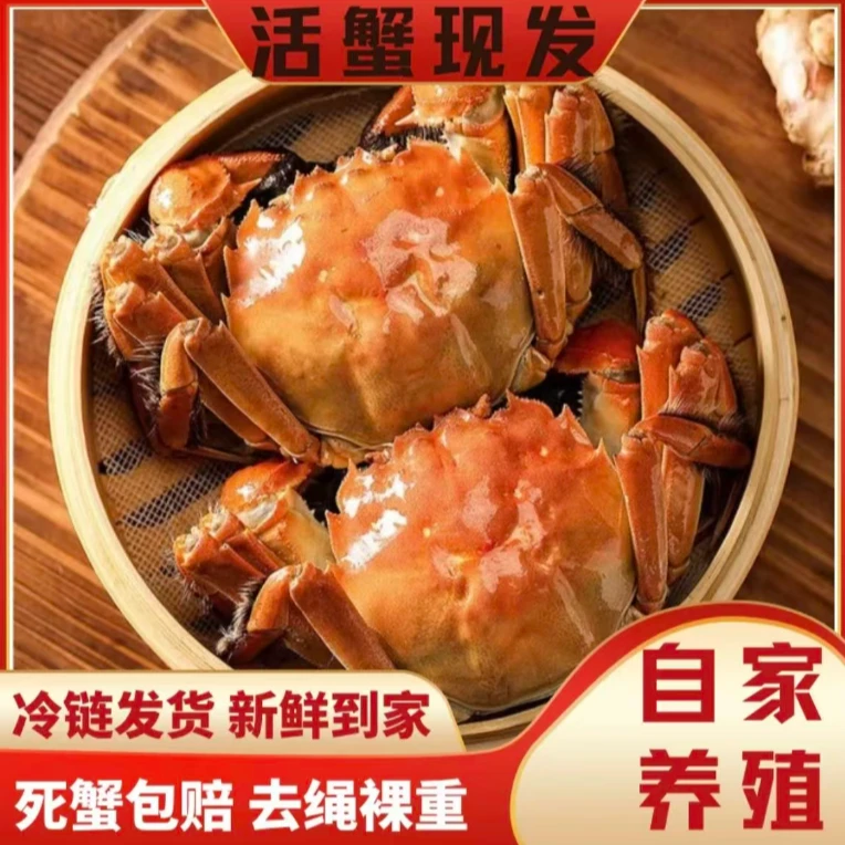 活蟹江苏精品大闸蟹3.5两公蟹5只/2.5两母蟹5只礼盒装冷链包邮