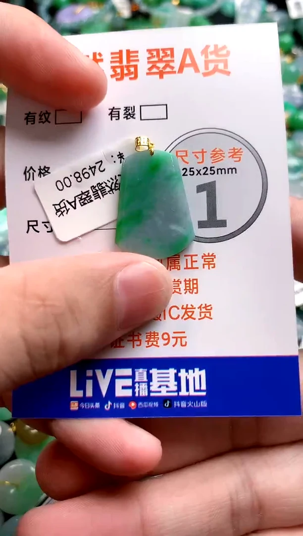 颈饰18K金镶嵌翡翠0852163007