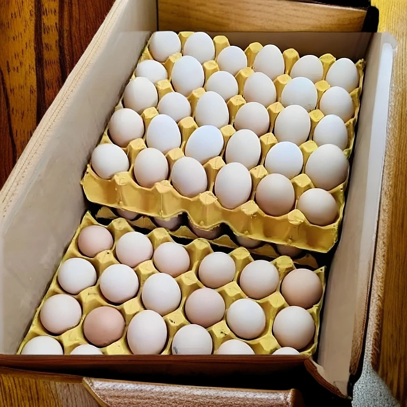 鸡蛋一盘تۇخۇم