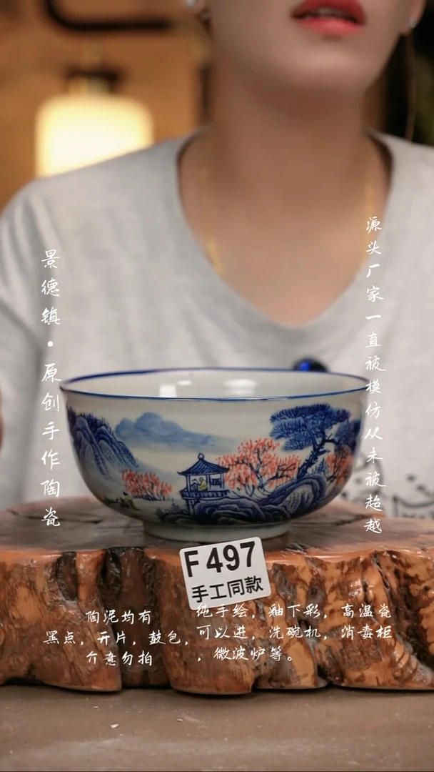 其他F497新十二器