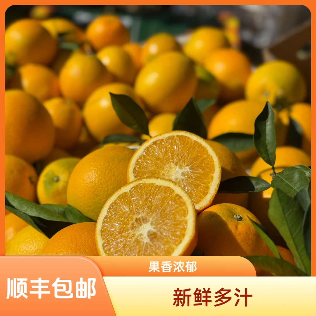 顺丰包邮 赣南脐橙产地直发应季水果新鲜采摘香甜多汁化渣橙子