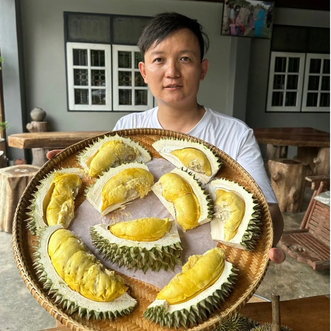 【鲜果需放熟】泰国托曼尼巴掌小果榴莲当季新鲜榴莲发顺丰