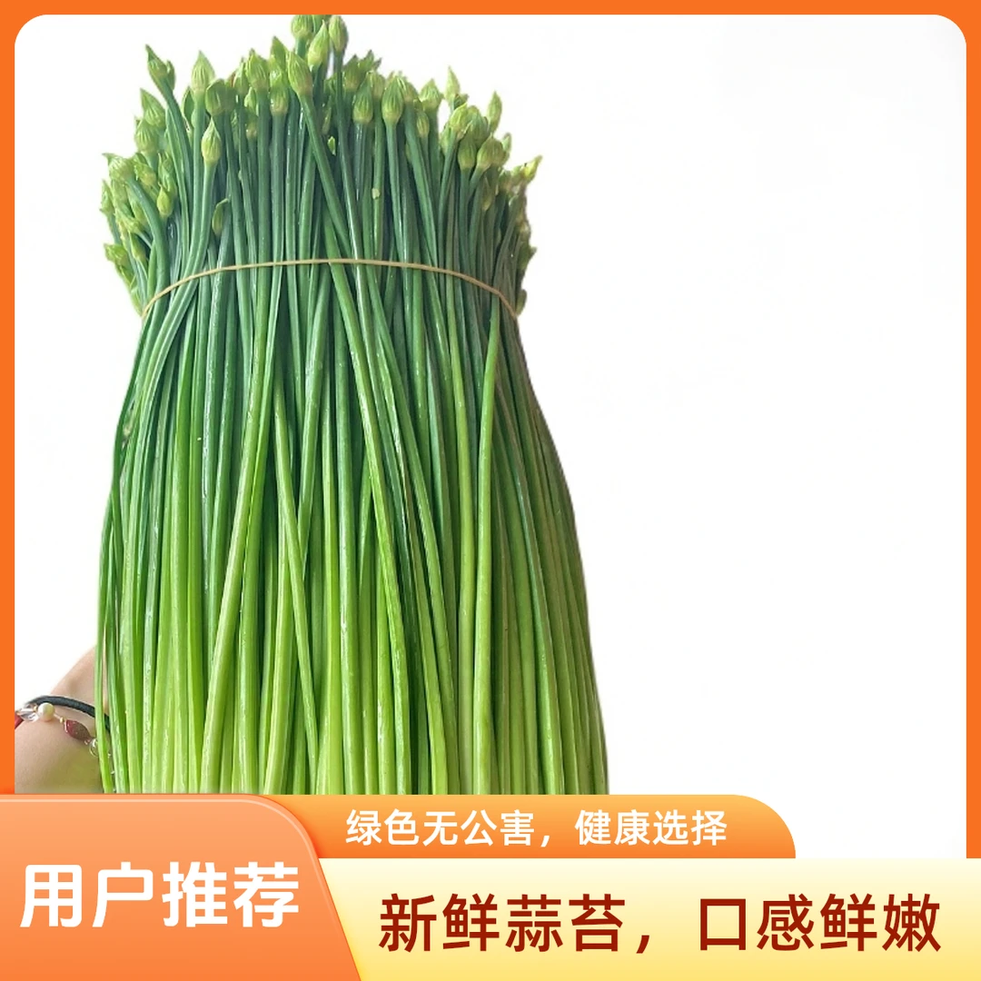 特级高品质新鲜韭菜苔清香爽口营养丰富蔬菜佳品