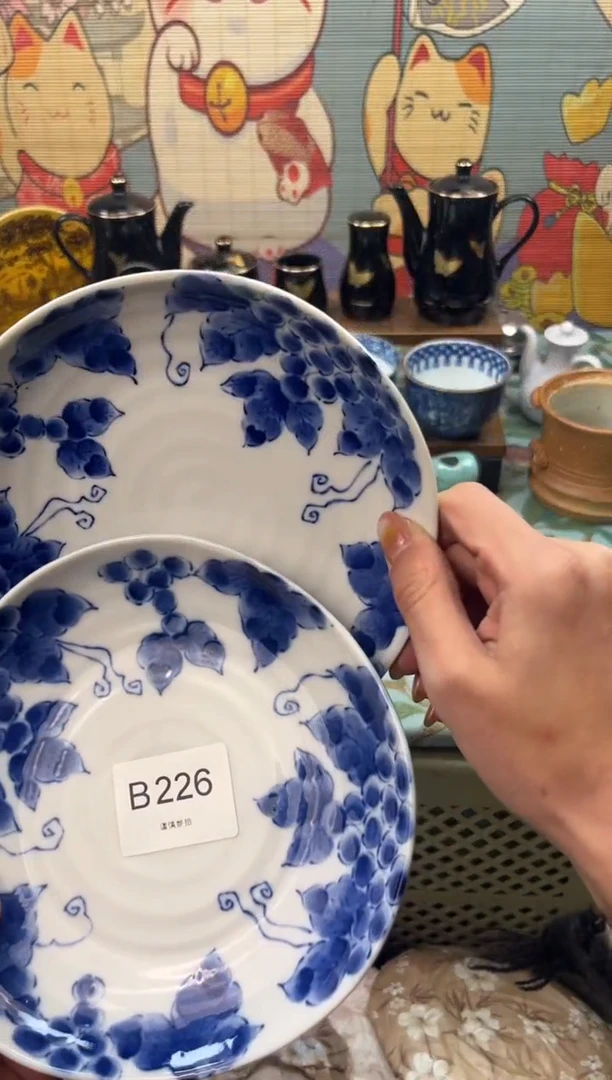 瓷片白****1    B226