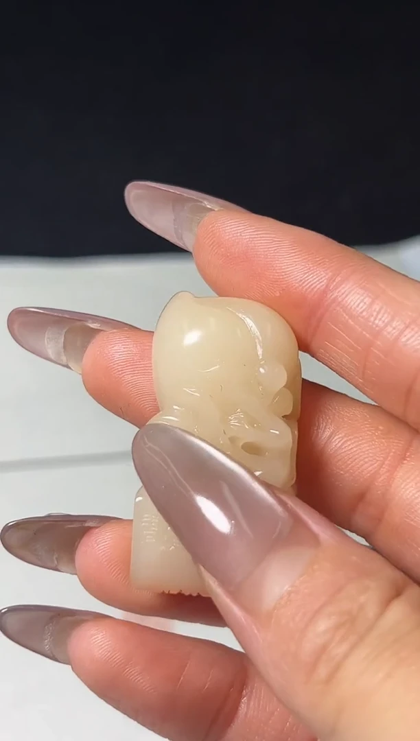 老挝石印石篆刻胡成森X47754人生识字忧患始