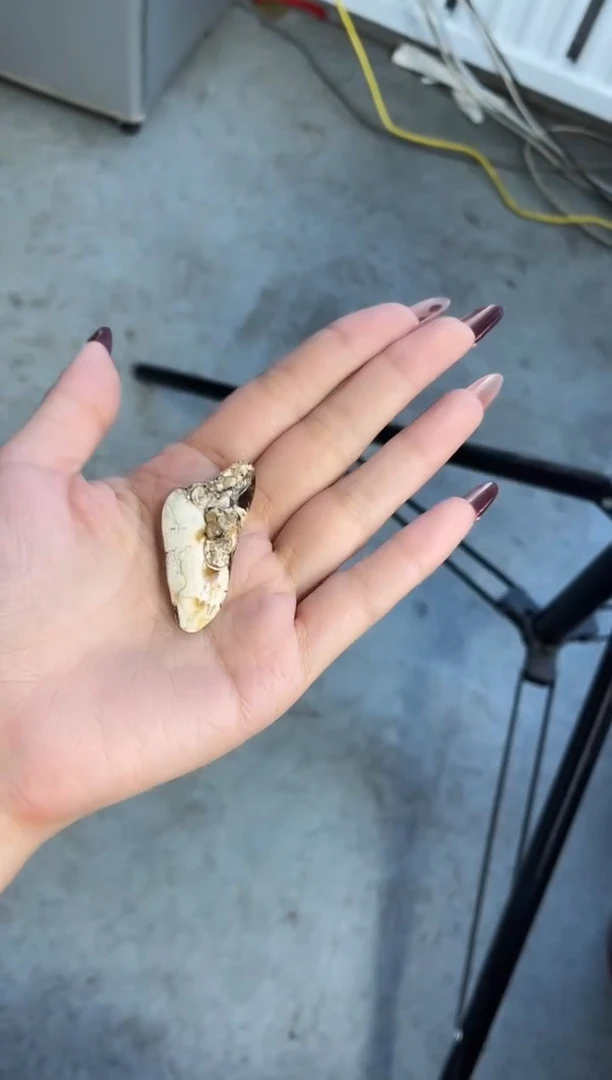 【闪购商品】琥珀裸石未镶嵌干白花雕刻件