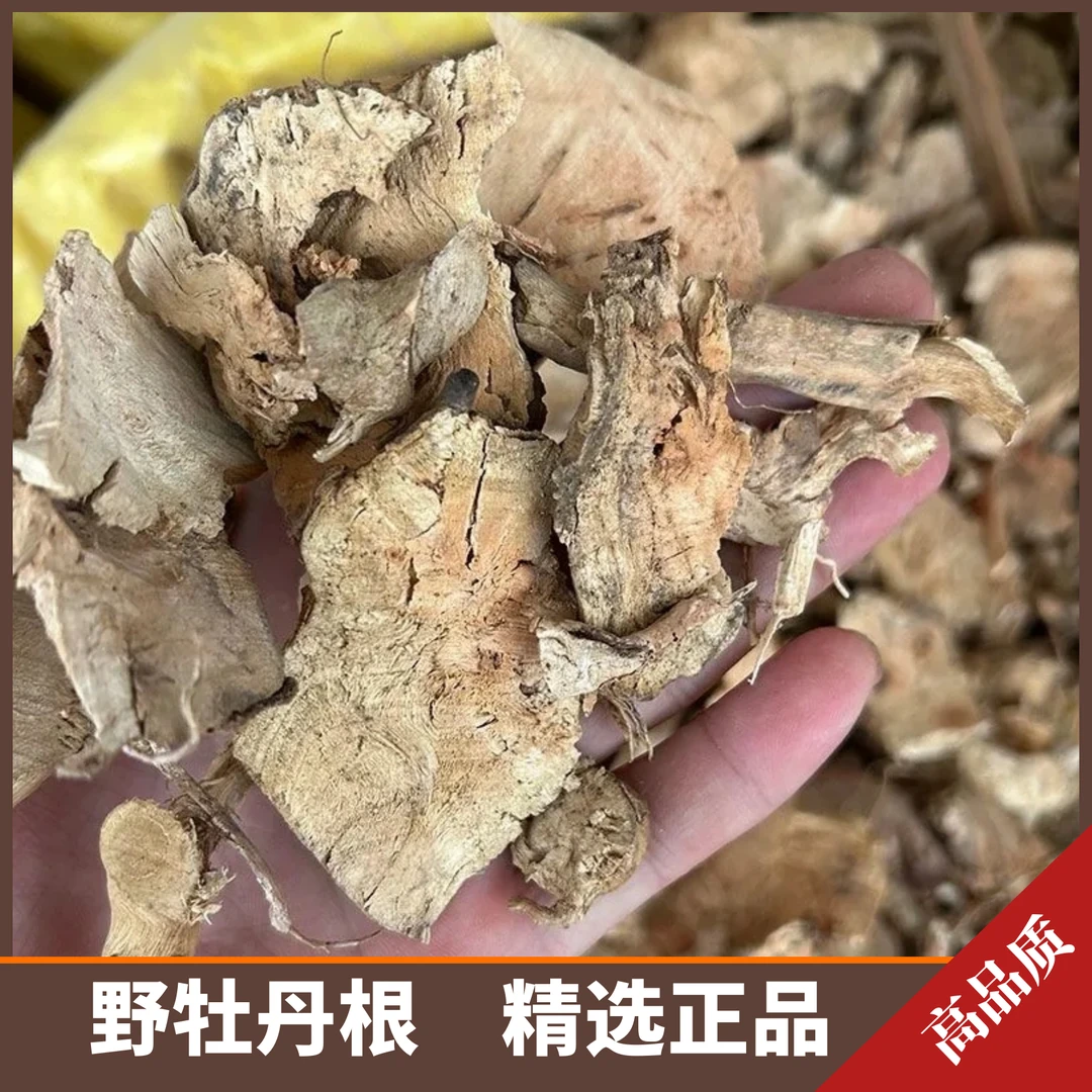 农家野牡丹纯根精选山石榴野牡丹全草大金香炉猪古稔新鲜干货叶菜