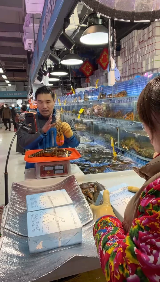 中国大陆断氧小波龙3只，168，有一只没有售后