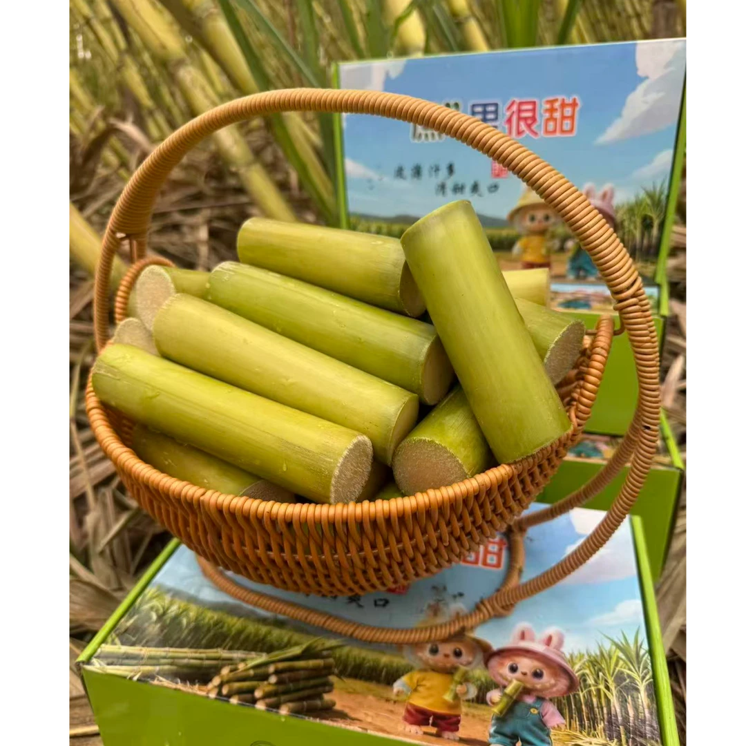 陶山青皮手撕甘蔗，《纯果肉 》买3斤送2斤（到手5斤）