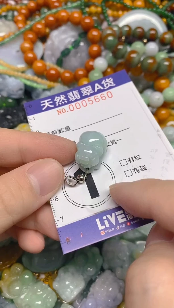 颈饰未镶嵌翡翠0005660