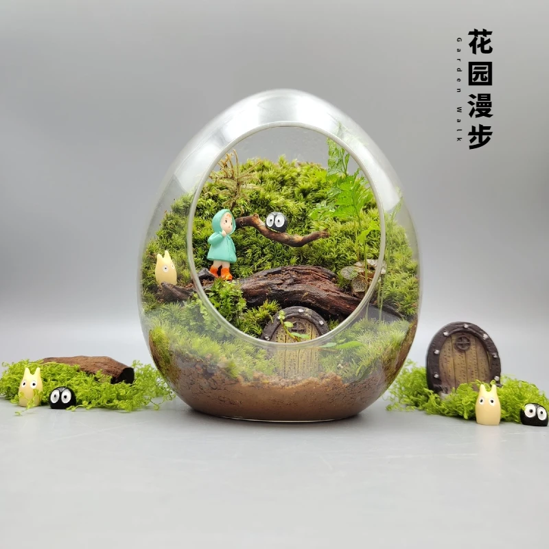 花园漫步苔藓造景微型桌面摆件生态微景观好养绿植创意礼物