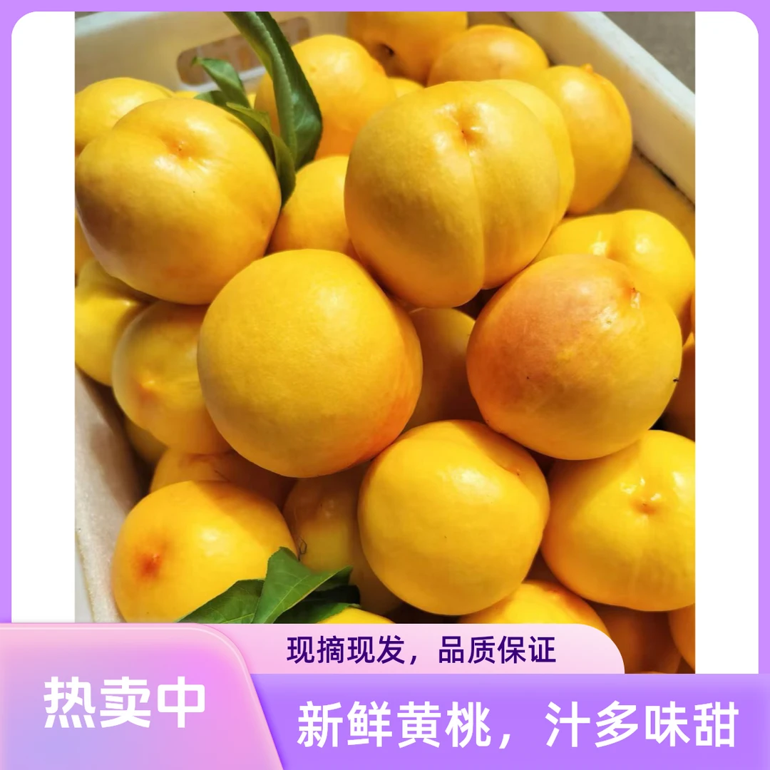 东戴河黄油桃香甜多汁皮薄新鲜应季黄金芒果桃