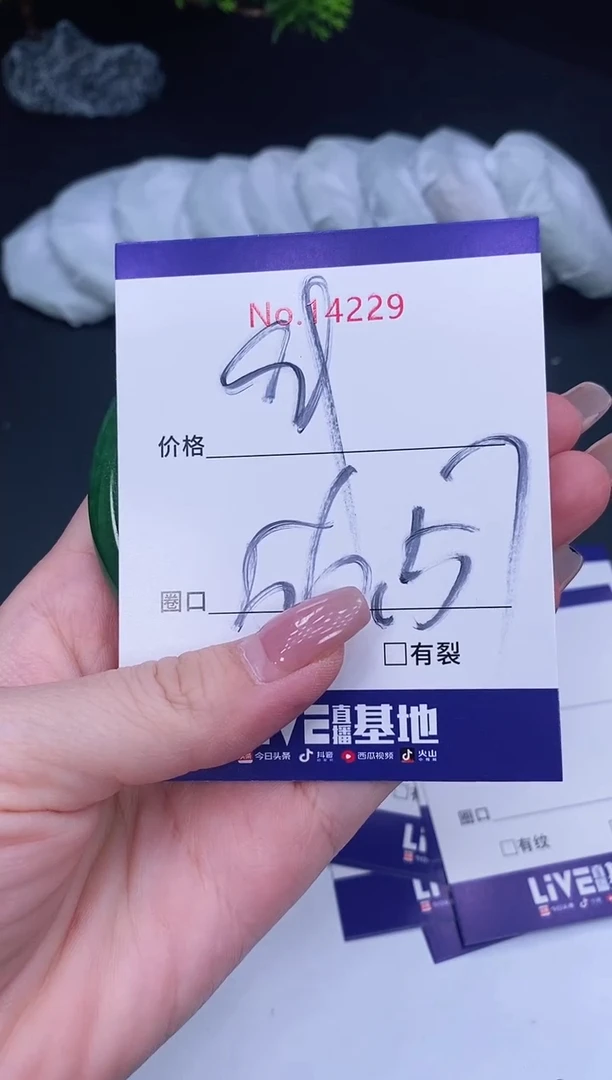 未镶嵌手镯翡翠14229