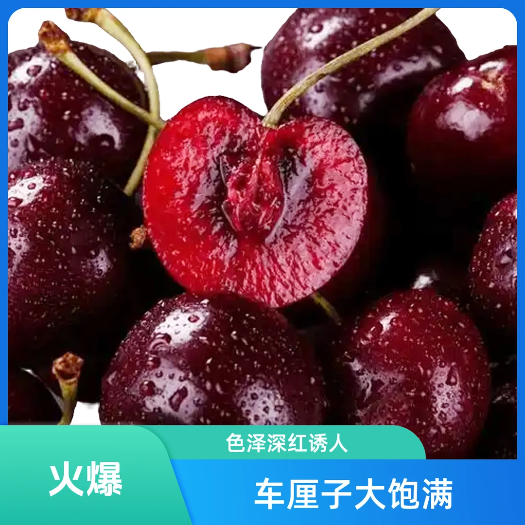 华东城精选4J车厘子5斤装2.5KG 新鲜海运桑提娜智利