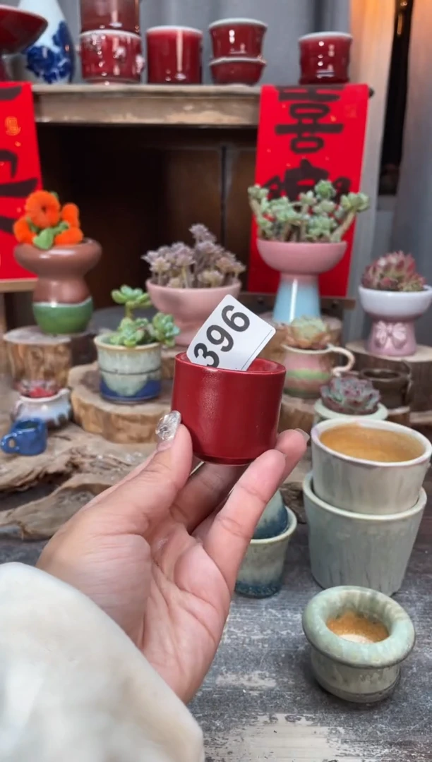 【闪购商品】摆件396知木小芳花盆