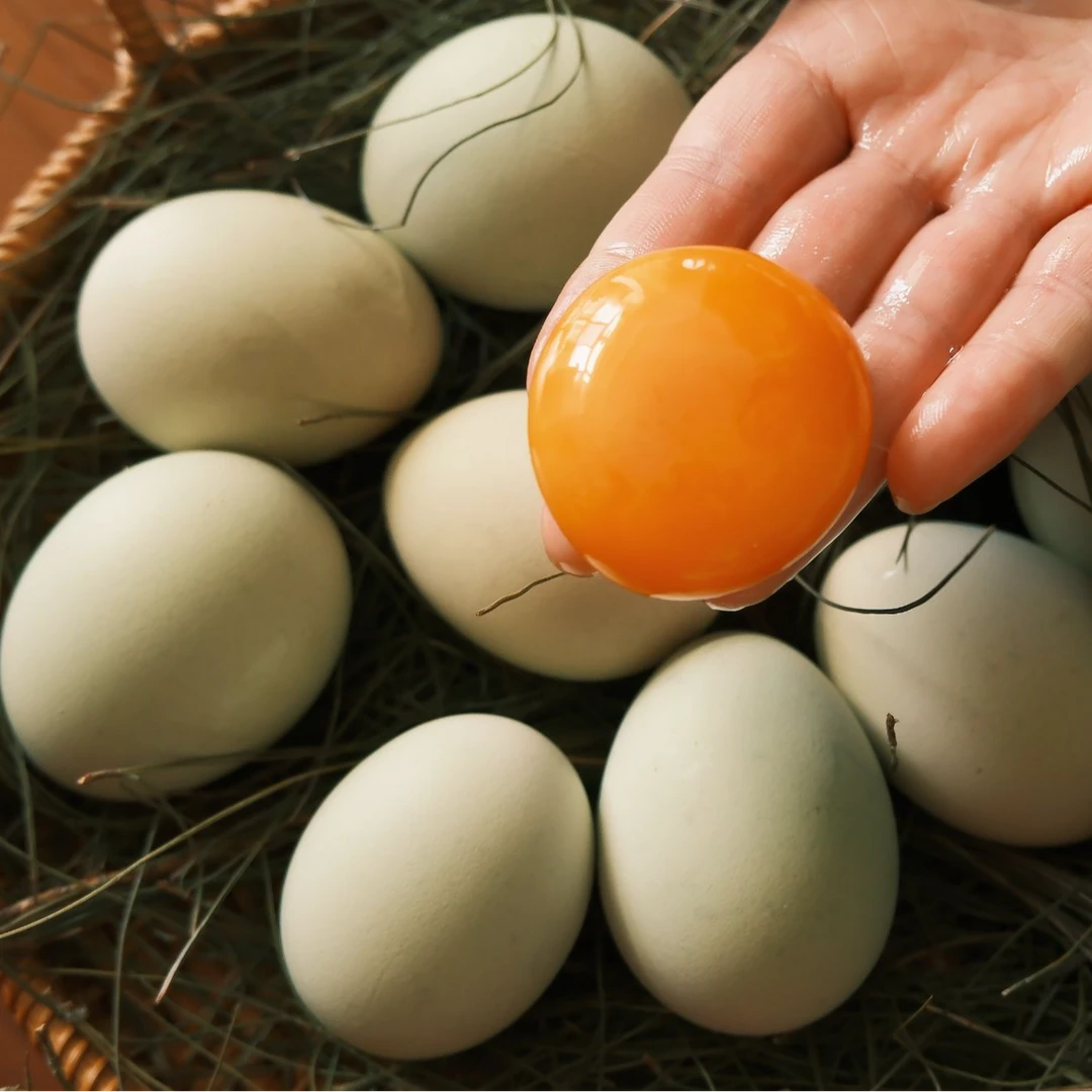 鸡蛋倩贵州农家散养土鸡蛋混装25枚绿壳蛋25枚粉壳蛋混装山林散养