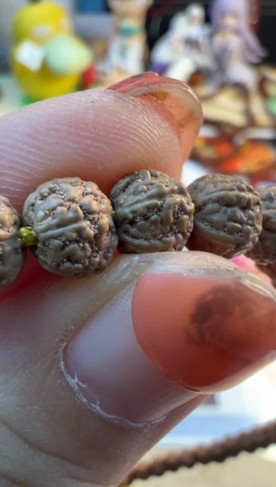 【闪购商品】金刚菩提手串690原桩葛地利一代龙尺寸6-7+8+