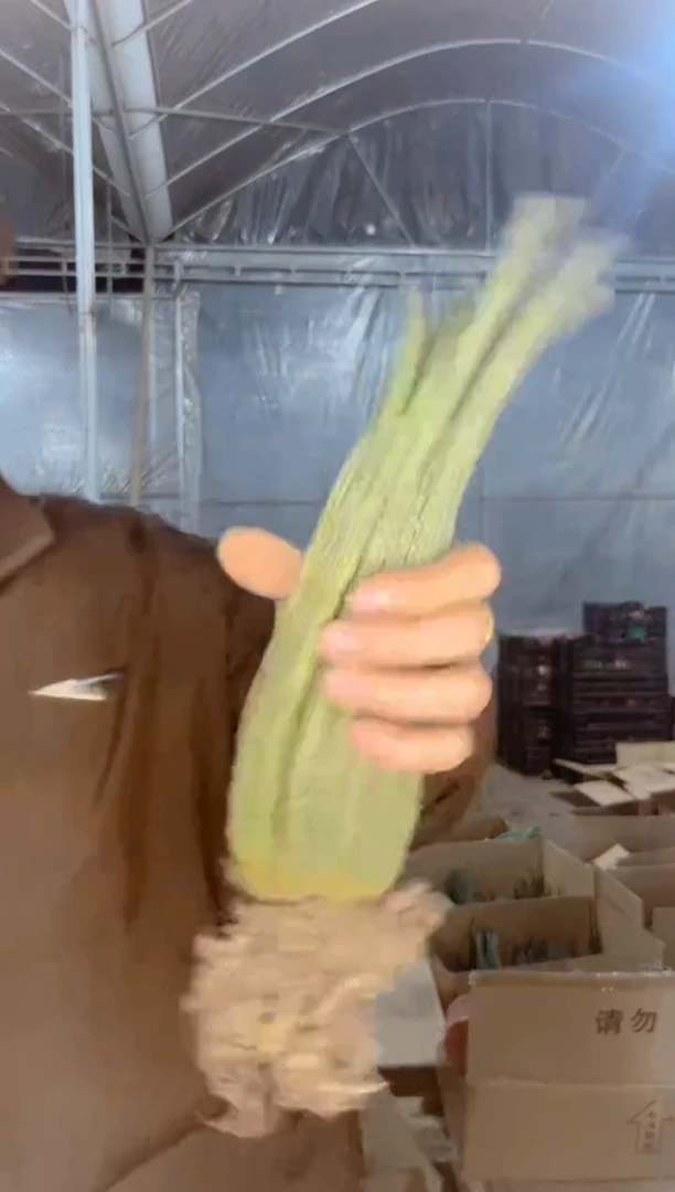 【闪购商品】银妞群生