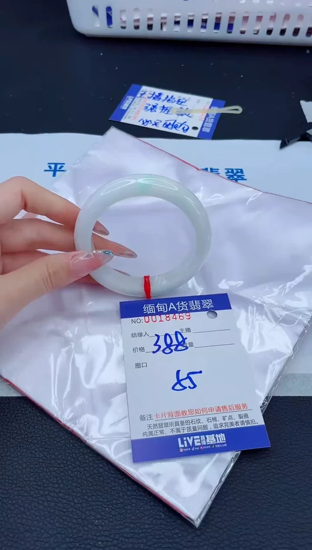 未镶嵌手镯翡翠1t