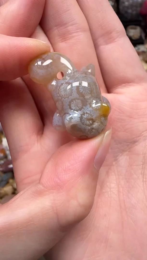 颈饰未镶嵌硅化珊瑚（珊瑚玉）689