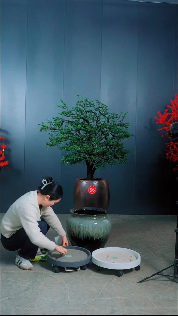 无花朵蔡*广东小叶紫檀.56号