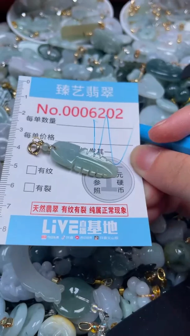 颈饰未镶嵌翡翠6202