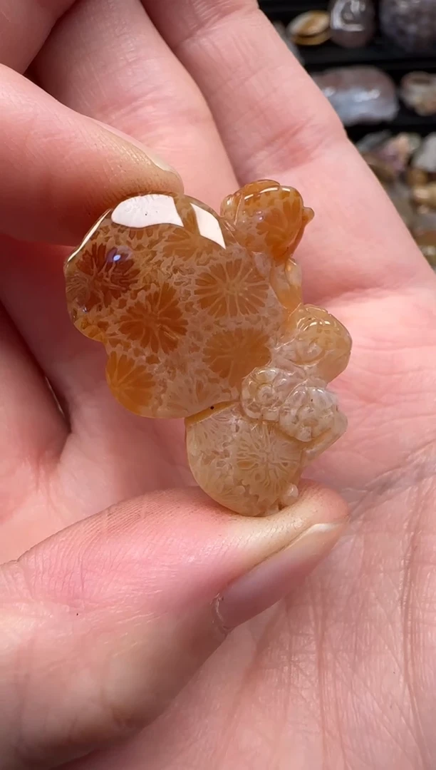 颈饰未镶嵌硅化珊瑚（珊瑚玉）220
