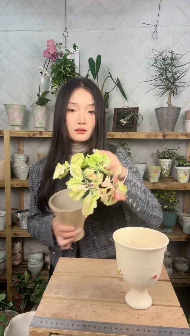 无花朵283卷叶红雀珊瑚