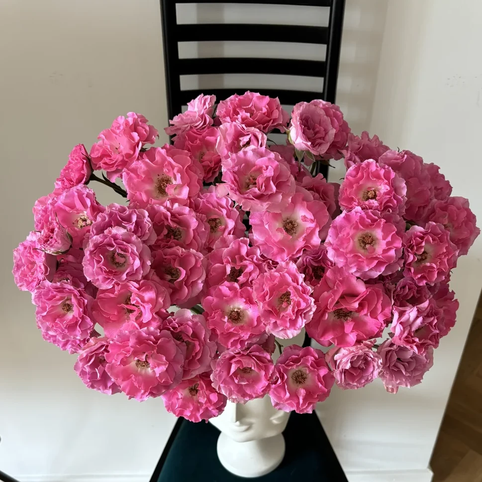 【新品福利】A级美人鱼泡泡10支 包邮【任意两单顺丰京东】云南