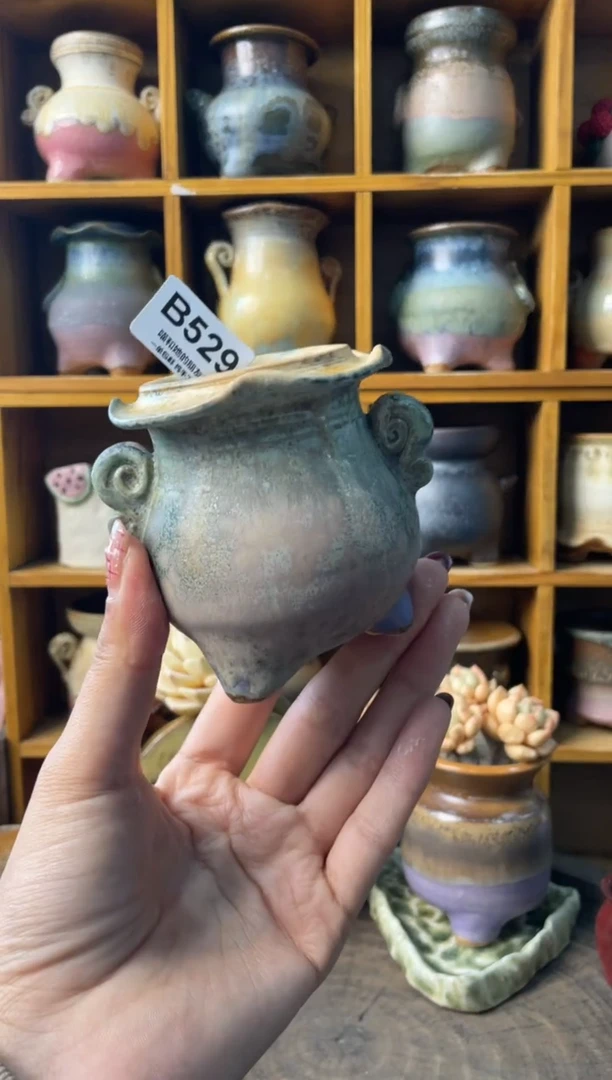 529内口4【多肉花盆多肉盆】1