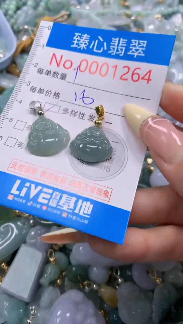 翡翠未镶嵌颈饰多样性发其一1264