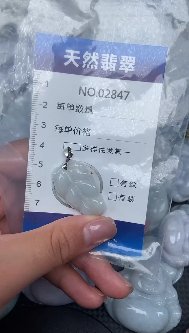 颈饰未镶嵌翡翠纯天然A货翡翠2847