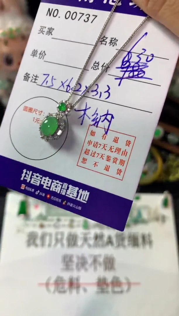 颈饰银S925镶嵌翡翠翡翠