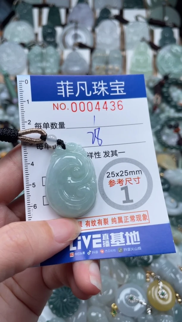 翡翠未镶嵌颈饰00..4436