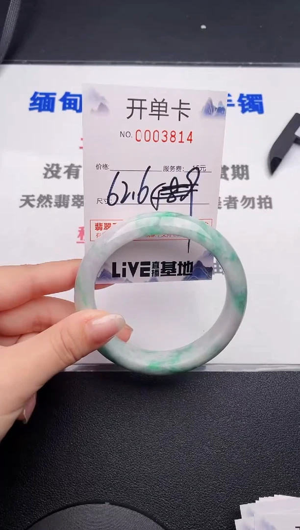 未镶嵌手镯翡翠14