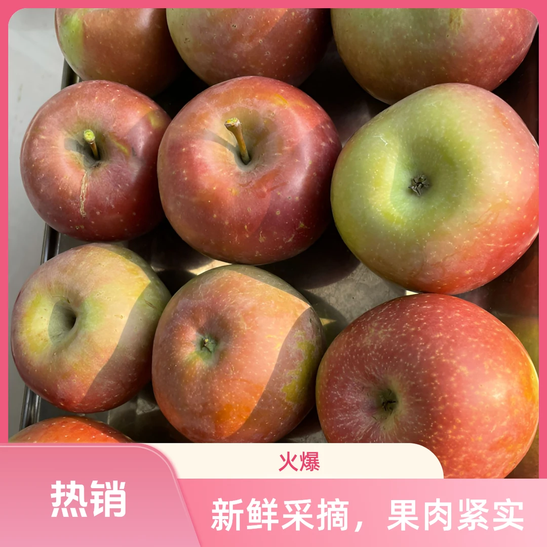 山西运城早熟红富士苹果脆甜多汁原汁原味原生态