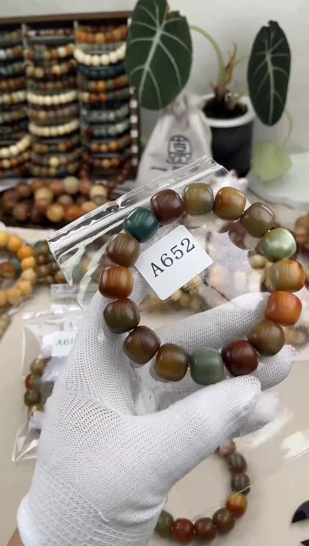 菩提根/象牙果手串a652卡16 干磨糖壳