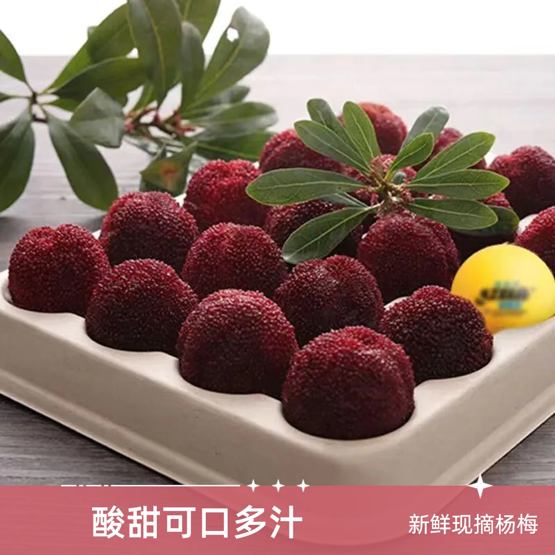 【自吃尝鲜】正宗仙居东魁杨梅 单果13-18g 当天摘当天发 鲜甜可口新鲜杨梅浙江省