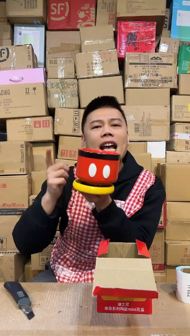 【闪购商品】杯陶瓷原盒米奇花盆